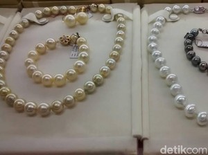 Mutiara Perairan Lombok Tembus Pasar Asia, Eropa, dan Timur Tengah