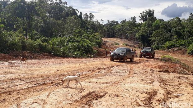 Jalan Paralel Perbatasan Entikong-Rasau 2