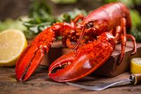 Wah, Uniknya  Bir ini Dibuat dengan Campuran Aneka Seafood!