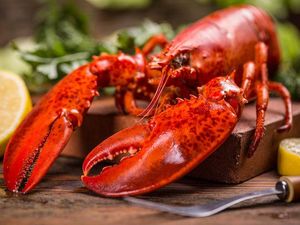 Sebelum Dimasak, Restoran Ini Sengaja Beri Lobsternya Asap Daun Ganja Bakar