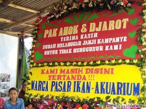 Kecewa pada Ahok, Warga Kampung Akuarium akan Kirim Karangan Bunga