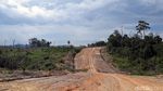 Jalan Perbatasan Belah Hutan Kalbar