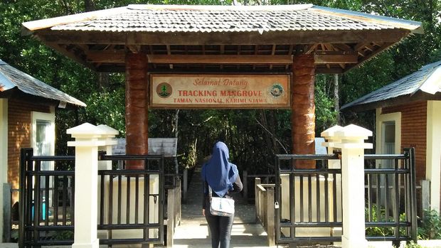 Pintu masuk hutan mangrove Karimunjawa (Bonauli/detikTravel)