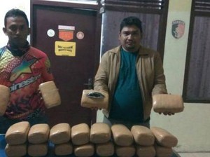 Polsek Muara Batu Aceh Amankan 20 Bal Ganja di Gubuk Kosong