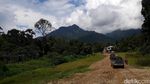Jalan Perbatasan Belah Hutan Kalbar