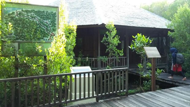Loket hutan mangrove (Bonauli/detikTravel)