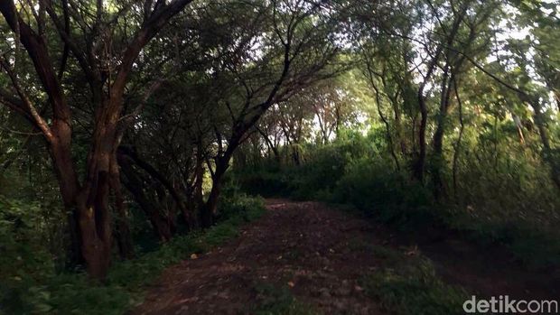 Jalanan menuju Betoh So'on (Narulita/detikTravel)