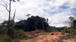 Jalan Perbatasan Belah Hutan Kalbar