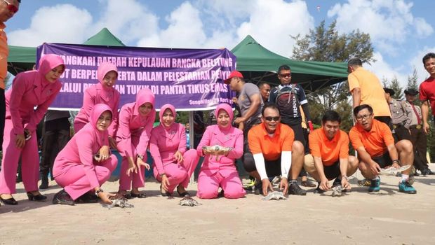 Kapolda Babel Lepaskan 100 Penyu di Pantai Tikus Emas