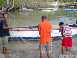 Pukat Harimau Dilarang, Nelayan Aceh: Ikan Sekarang Ada Lagi