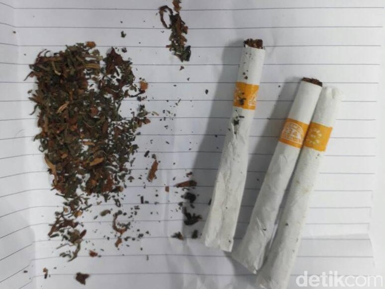 Tes Urine, Pemberi Ganja Gratis ke Iwa K Positif Gunakan Narkoba Tes Urine, Pemberi Ganja Gratis ke Iwa K Positif Gunakan Narkoba