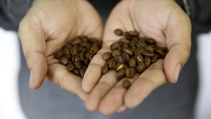 Diminati Luar Negeri, Ekspor Kopi RI Capai 500 Ribu Ton