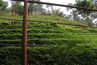 Labirin Vertikal, Destinasi Long Weekend Unik di Bandung