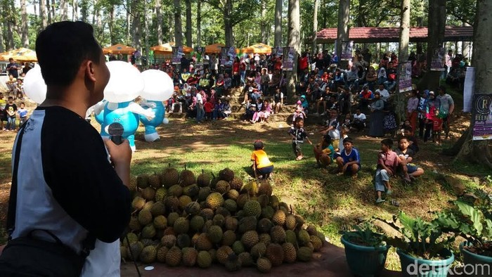 Pesta 1001 Durian Gratis di Pasuruan Diserbu Warga
