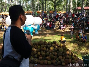 Pesta 1001 Durian Gratis di Pasuruan Diserbu Warga