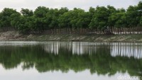 Ada beberapa anak-anak mandi dengan penuh riang gembira. Sampai agak ke tengah, danau ini tidak begitu dalam (Fitraya/detikTravel)