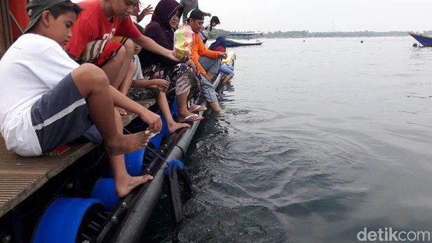 Sensasi Berenang Sambil Memberi Makan Hiu di Banyuwangi Underwater