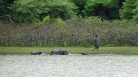 Danau Kolam Susuk relatif sepi meskipun akhir pekan. Beberapa orang tampak memancing, tapi mereka adalah warga lokal (Fitraya/detikTravel)