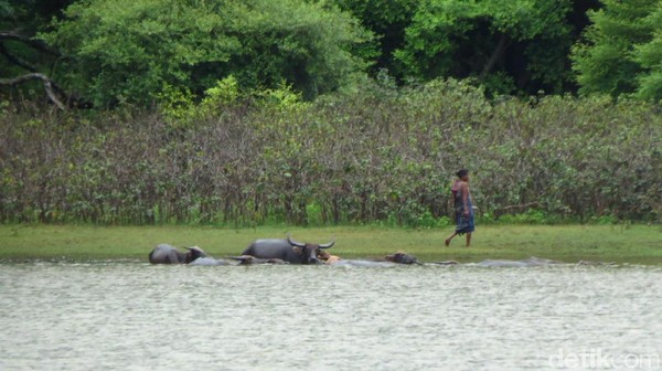 Danau Kolam Susuk relatif sepi meskipun akhir pekan. Beberapa orang tampak memancing, tapi mereka adalah warga lokal (Fitraya/detikTravel) Danau Kolam Susuk relatif sepi meskipun akhir pekan. Beberapa orang tampak memancing, tapi mereka adalah warga lokal (Fitraya/detikTravel)