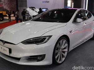 Pria Kelahiran Afrika Selatan Ini Jadi Kaya Raya Berkat Mobil Listrik