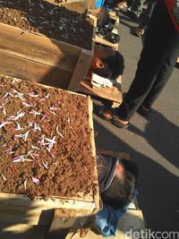 Petani Telukjambe gelar aksi kubur diri / 