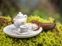 Begini Kalau Nongkrong Sambil Ngeteh di Hutan