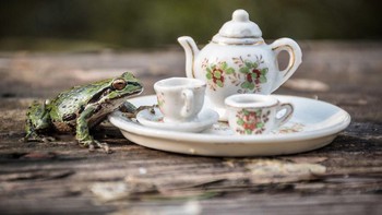 Foto: Jay Rainey via Bored Panda