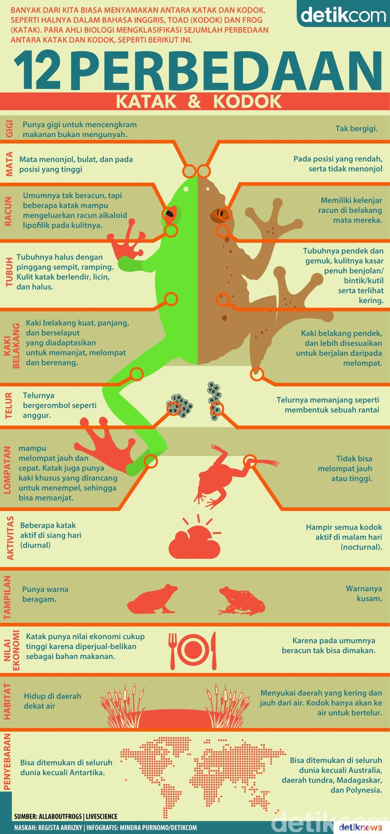 12 Perbedaan Katak dan Kodok 12 Perbedaan Katak dan Kodok