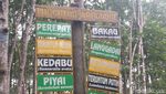 Hutan Bakau Raksasa dari Indragiri Hilir