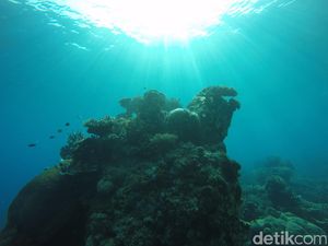 Karimunjawa Rasa Bahama