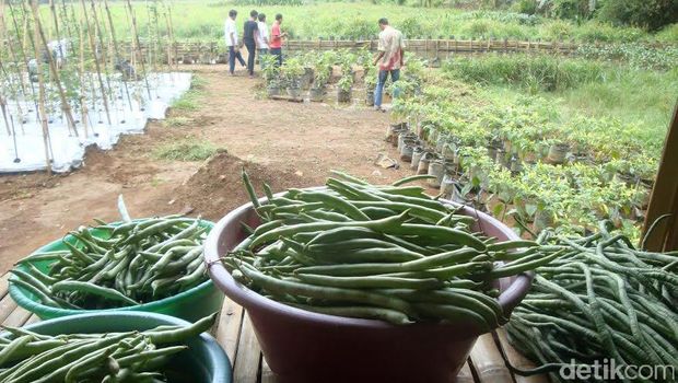 Menengok MTs Pakis, Sekolah Anak Mandiri dari Lereng Gunung Slamet