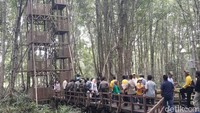 Foto: Menara yang dibangun dari batang kayu menjulang tinggi. Menaiki tapak tangga di atas menara itu, menjadi pemandangan yang cukup indah untuk melihat hutan mangrove (Chaidir/detikTravel)