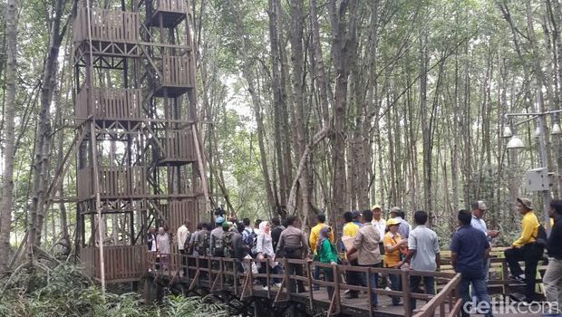 Menara pandang (Chaidir/detikTravel)
