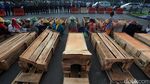 Petani Karawang Bertahan dengan Aksi Kubur Diri