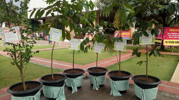 Bukan Lagi Karangan Bunga, Warga Kini Kirim Pot Tanaman untuk Ahok