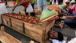 Petani Karawang Bertahan dengan Aksi Kubur Diri