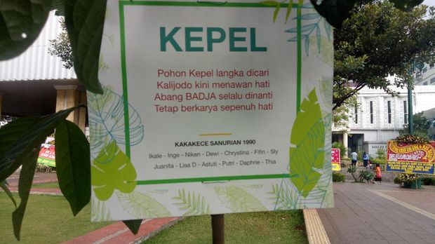 Bukan Lagi Karangan Bunga, Warga Kini Kirim Pot Tanaman 