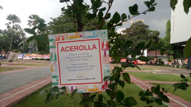 Setiap pot dituliskan nama-nama biologi dari setiap tanaman disertai kata-kata dukungan bagi Ahok-Djarot. 