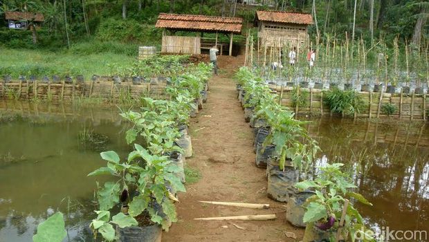 Menengok MTs Pakis, Sekolah Anak Mandiri dari Lereng Gunung Slamet