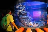 Crabzilla di Bangkok