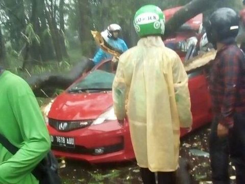 Begini Penampakan Evakuasi Mobil yang Tertimpa Pohon di UI