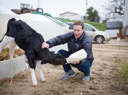 Lika Liku Zuckerberg, Dulu Pahlawan Kini Berperang