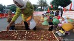 Petani Karawang Bertahan dengan Aksi Kubur Diri