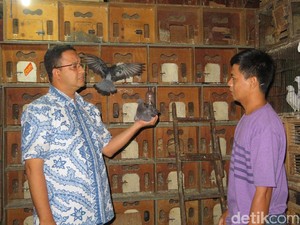Cerita Anies Soal Kegemaran Pelihara Burung dan Kenangan di Pasar