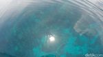 Bening Bagai Kaca, Tempat Ini Keren Buat Diving