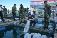 Atase Pertahanan Negara Sahabat Terpukau Emas Biru Kodam Pattimura