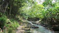 Menyusuri Sungai Dayu (Wahyu/detikTravel)