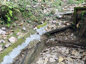 Ada Jejak Kehidupan Purba di Karanganyar