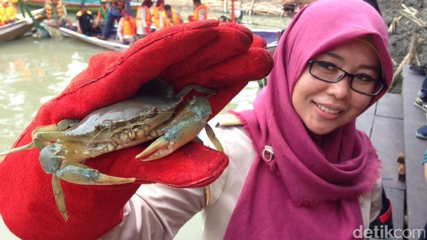 724 Ekor Kepiting Dilepasliarkan di Eco Wisata Mangrove