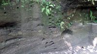 Bekas pengambilan sampel tanah di Situs PCTS (Wahyu/detikTravel)